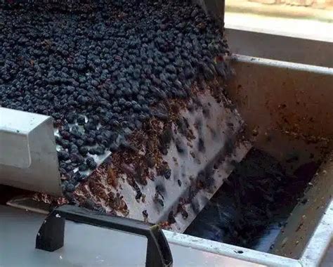 Wine Making Process 的图像结果