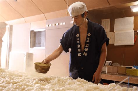 醪仕込み に対する画像結果