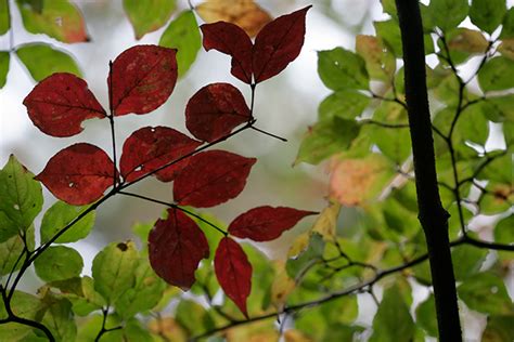 Image result for How to Know Color Code