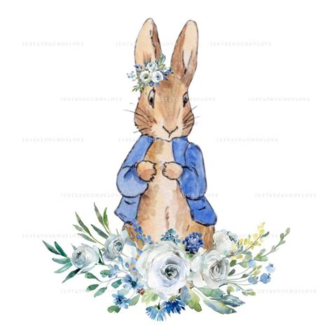 Image result for Rabbit SpO2