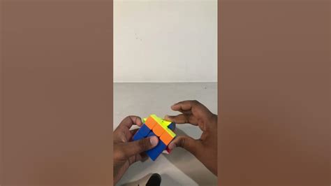 Oll Tutorial 的图像结果