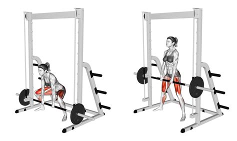 Can You Deadlift on a Smith Machine? Yes, Here's How - Inspire US
