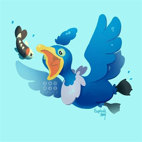 Cramorant | Bird pokemon, Pokemon, Cute pokemon