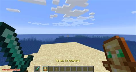 Image result for Custom Hands Minecraft Mod
