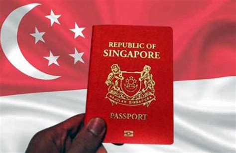 在新加坡，主要都有哪些身份准证？_工作