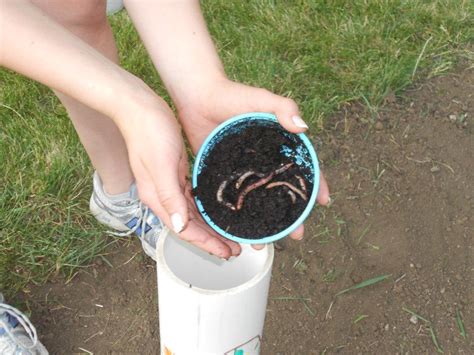 Image result for Directly Composting with PVC Pipes