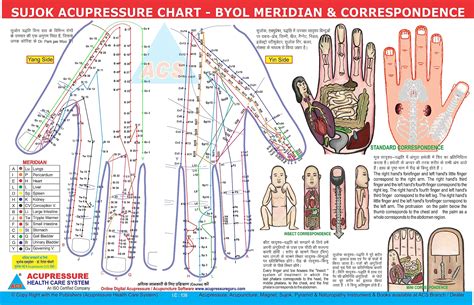 ACS MART Sujok Chart - Main Correspondence (Sujok Chart, 50) : Amazon ...