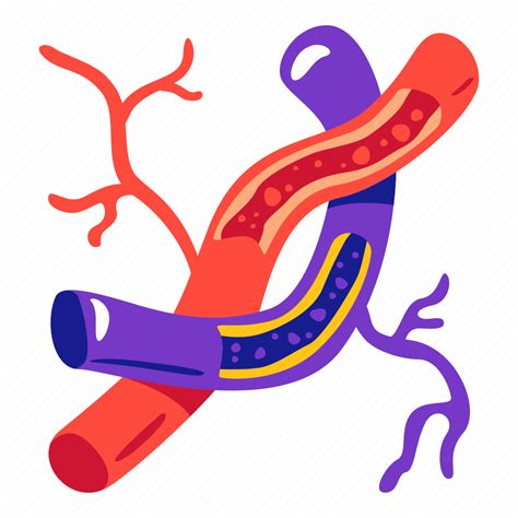 Artery, blood, human, organ, circulation icon - Download on Iconfinder