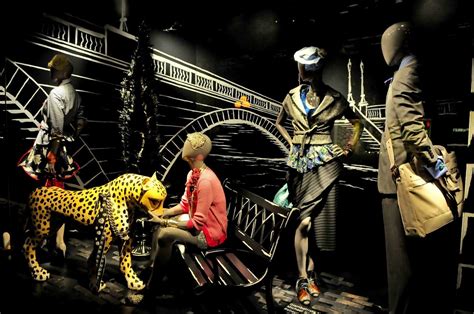 Display Window 的图像结果