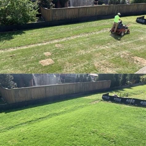Sunday Lawn Care Review - Must Read This Before Buying
