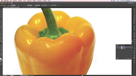【实用软件】Adobe Illustrator CS6（AICS6）安装教程 - 哔哩哔哩