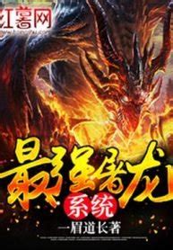 Super Dragon Slaughtering System – Light Novel Updates