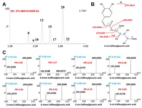 New Evidence for Artemisia absinthium as an Alternative to Classical ...