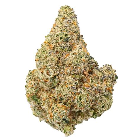 Wonka Bars Strain THCa Flower - Living Soil Exotic AAA | Sherlocks ...