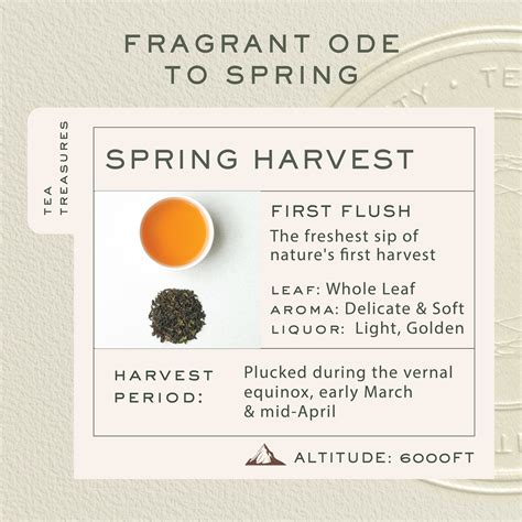 Shop Springtime Bloom First Flush Black Tea – Tin Caddy – Makaibari Tea