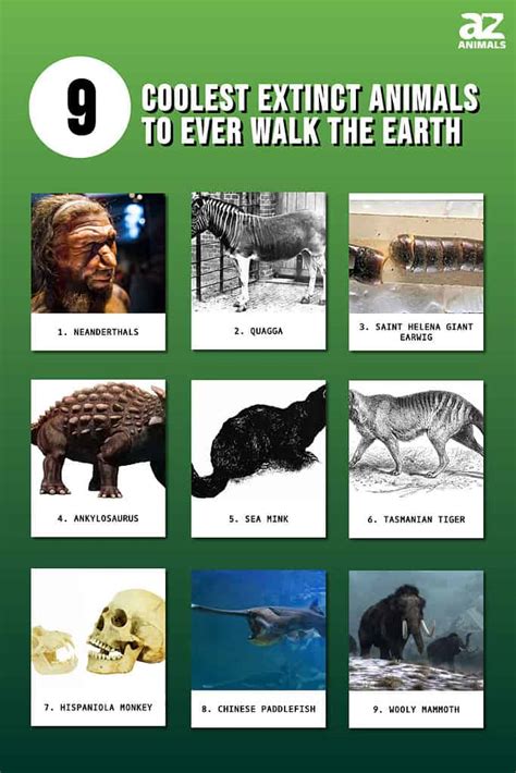 Image result for Most Interesting Extinct Animals