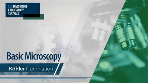 Image result for Microscope Alignment