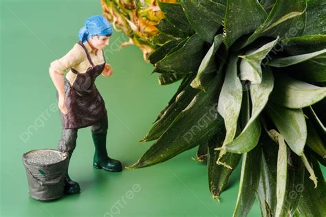 Image result for Tree-Planting Project Background Images