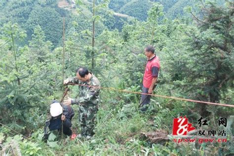 双牌县多部门成功化解多年未解决山场林地纠纷