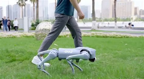 Robot Dog 的图像结果