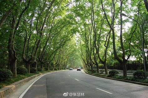 【携程攻略】上海南京路步行街景点,景色不是很美，属于人文类的景观。 主要是看全球大部分的品牌店和小…