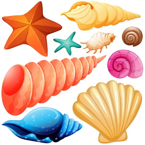 Free Seashell, Download Free Seashell png images, Free ClipArts on ...