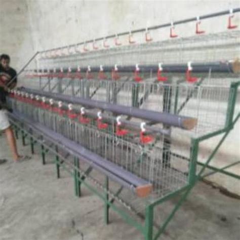 Jual ORIGINAL GALVANIS KANDANG BATTRY AYAM PETELUR GALVANIS ANTI KARAT ...