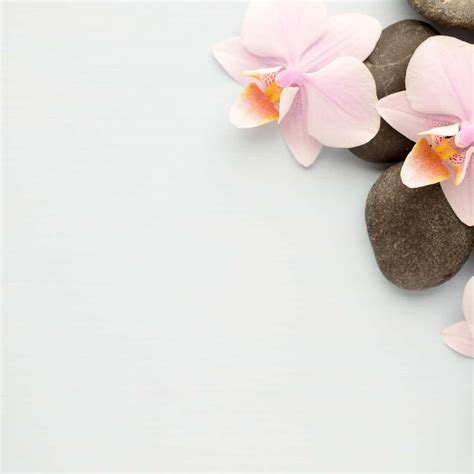 Download Zen Spa Ambiance | Wallpapers.com