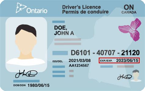 Check Driver S License Expiry at Daisy Draper blog