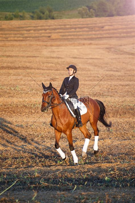 骑一匹马的女子。马术运动员赛马会高清摄影大图-千库网