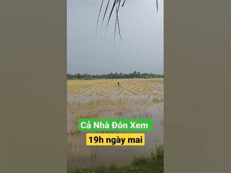 AMBIL SEKARANG
