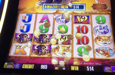 buffalo gold slot winners list