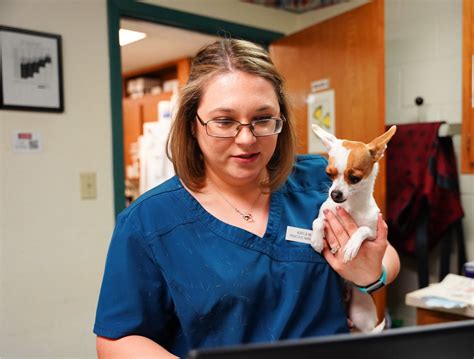 Veterinary Technician/CSR Canyon Creek Family Vet Jobs and Careers in ...