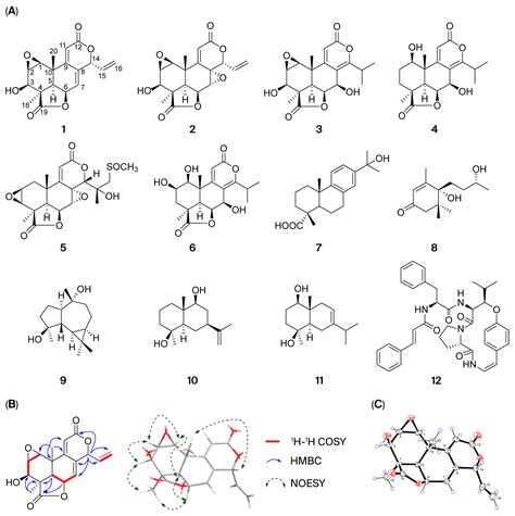 Nagilactone C from the Seeds of Podocarpus nakaii May Protect Against ...