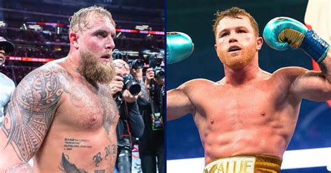 Werden Alvarez und Paul im Mai einen Kampf austragen? – RingSide24