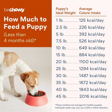 How Much Space Does A Dog Need In A Crate at Marva Conlon blog