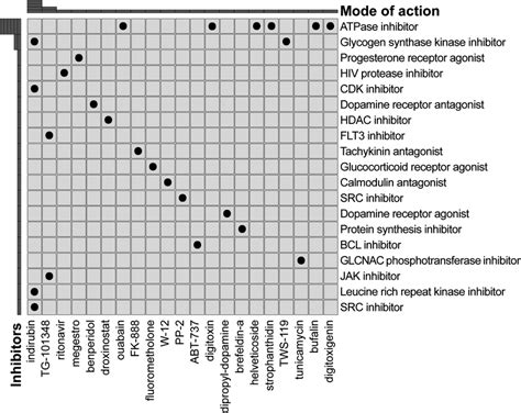 Connectivity Map 的图像结果