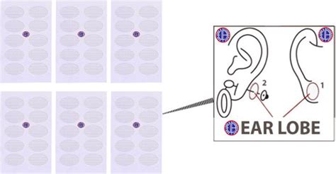 Ear Lobe & Accessories Reusable Ear Lobe Support Price in India - Buy ...