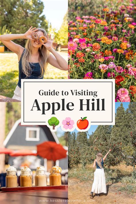 Weather For Apple Hill California
