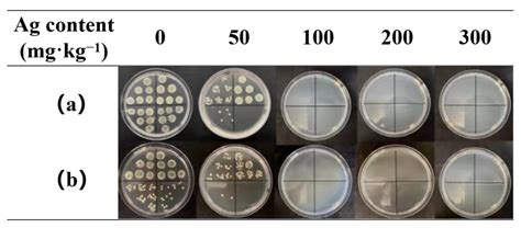 Waterproof and Moisture-Permeable Polyurethane Nanofiber Membrane with ...