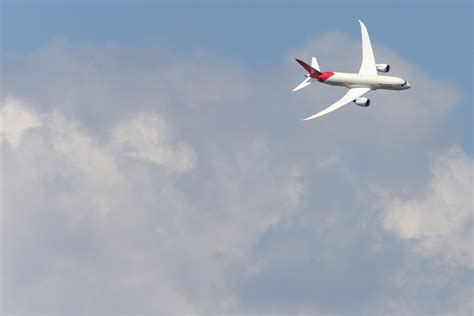 Air India Passenger Finds Live Lizard in in-Flight Meal; Airline Calls ...