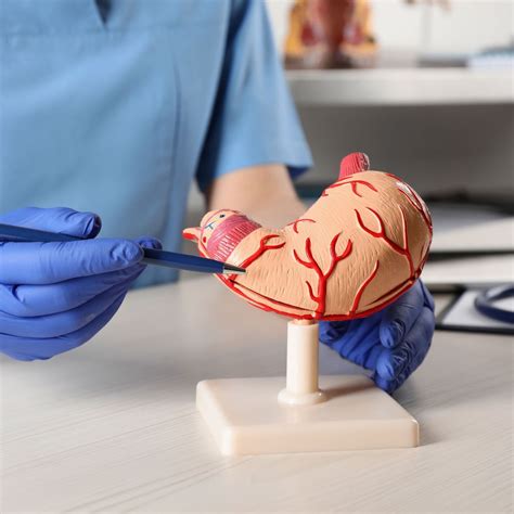 Neoadjuvante Therapie bis OP: Einfluss der Zeit auf den postoperativen ...