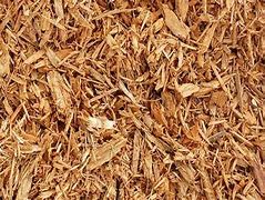 Image result for wood pulp