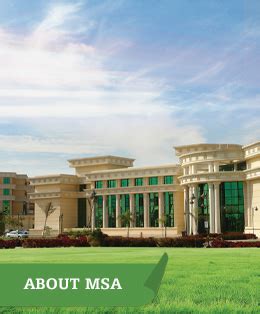 Image result for MSA Programs Requirements