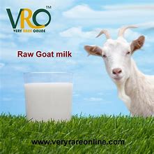 Image result for Goat Milk for Rabbits
