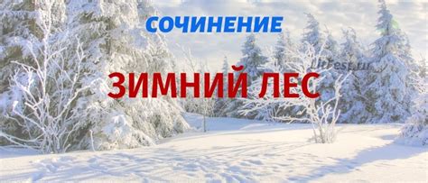 «Зимний лес» – сочинения для 2-9 классов, описание зимы в лесу