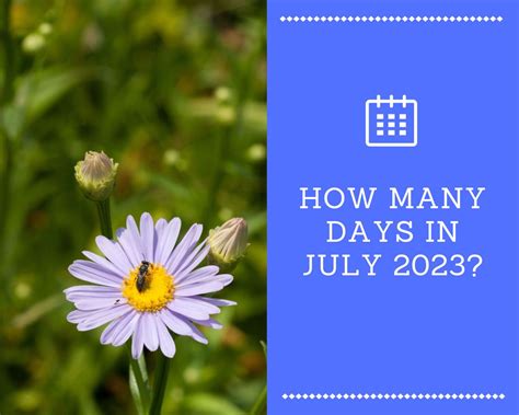 How Many Days In Feb 2026