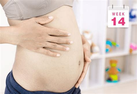 刚怀孕肚子疼是怎么回事 不一定就是流产征兆-健康经验本