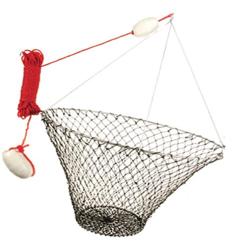 Image result for How to Set a Hoop Net for Fish
