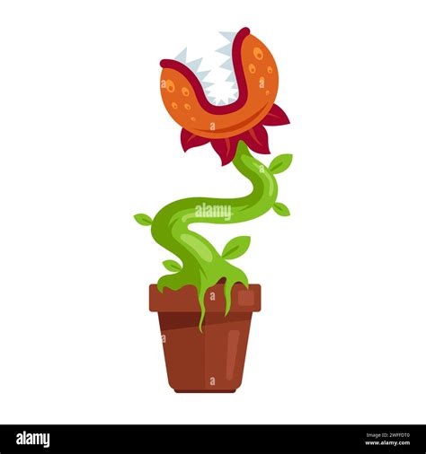 aggressive carnivorous plant. flat vector illustration Stock Vector Image & Art - Alamy